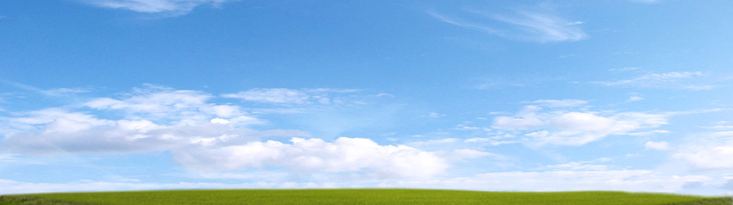 bg_field